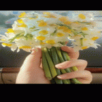 [____..Esmer..____]