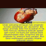 Avqust
