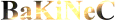 Nik