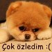 hediyye