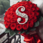 !!___]My_souLL__!!